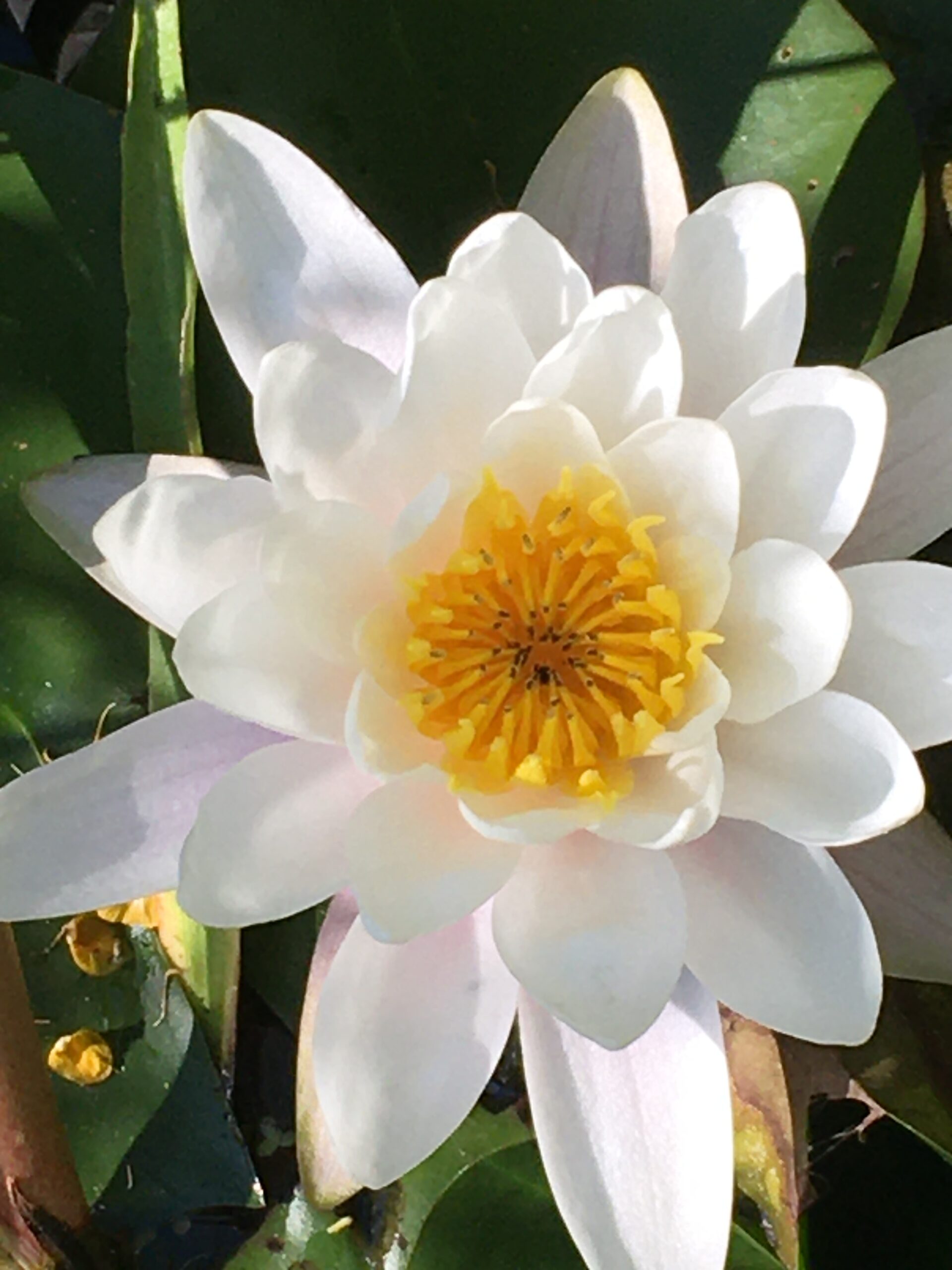 licht-kristall körperpeeling Andrea Sperker